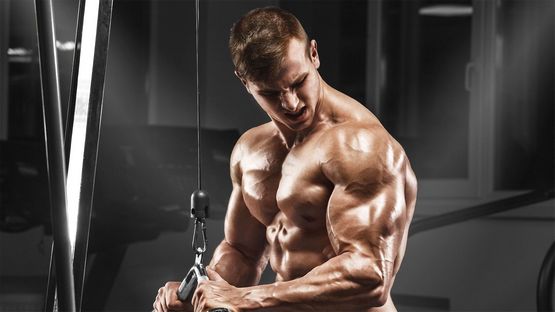 Understanding Clenbuterol: Uses, Benefits, and Risks Understanding Clenbuterol: Uses, Benefits, and Risks
